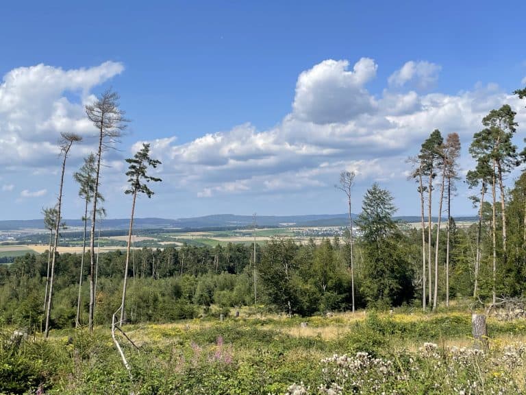 模仿德國人於周末或閒睱時的活動—登山
